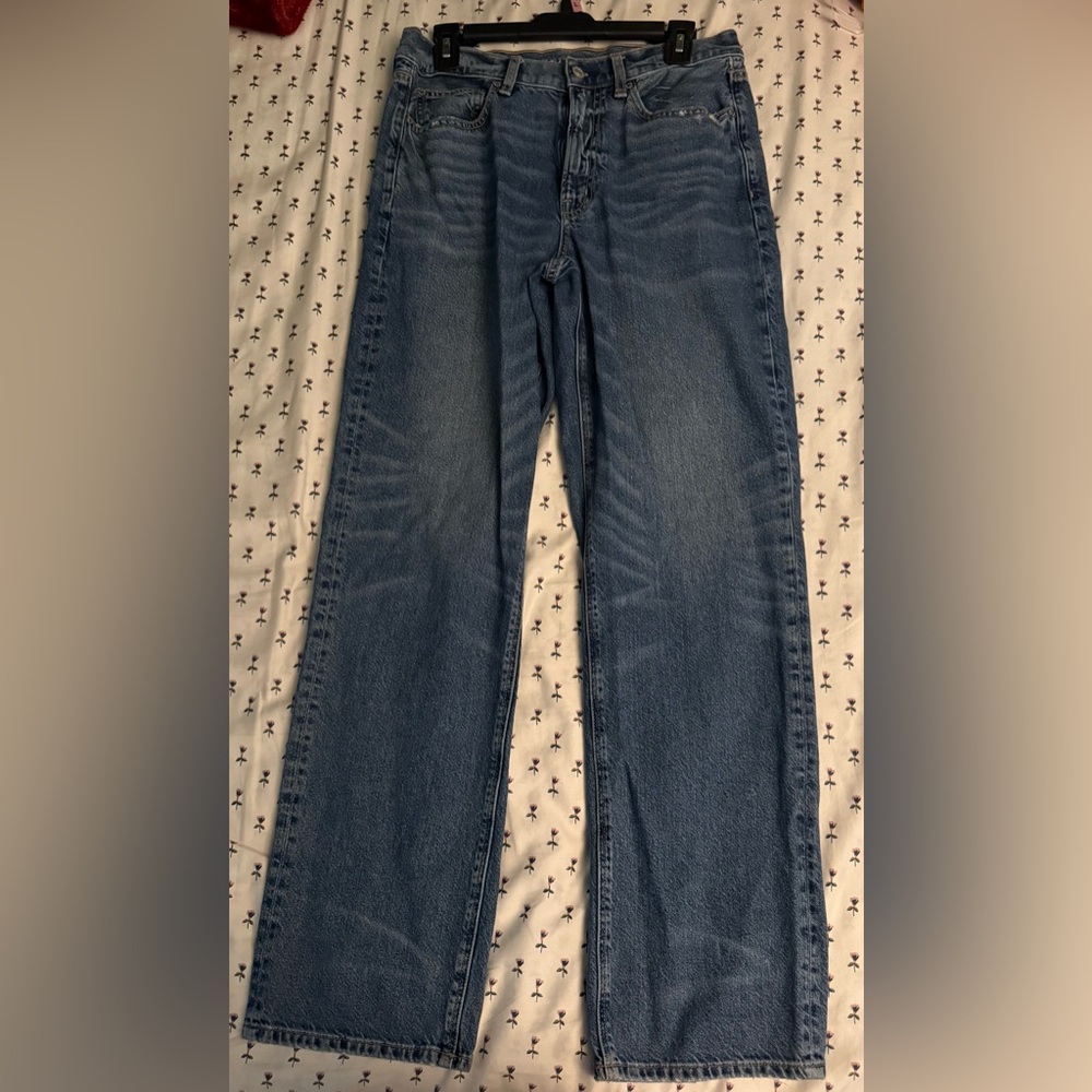 American Eagle Low Rise Baggy Jeans